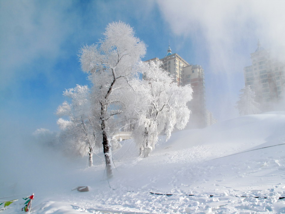 Snow-coated island draws tourists