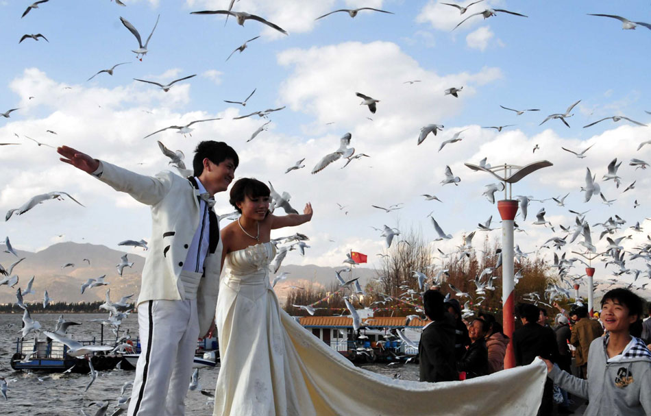 Black-headed gulls attract visitors to Kunming