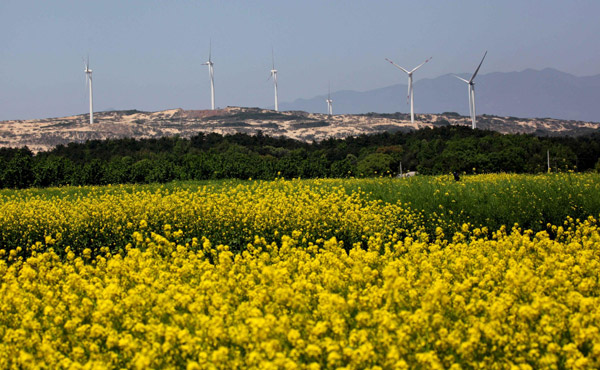 Bijia Mountain Wind Farm connects to grid