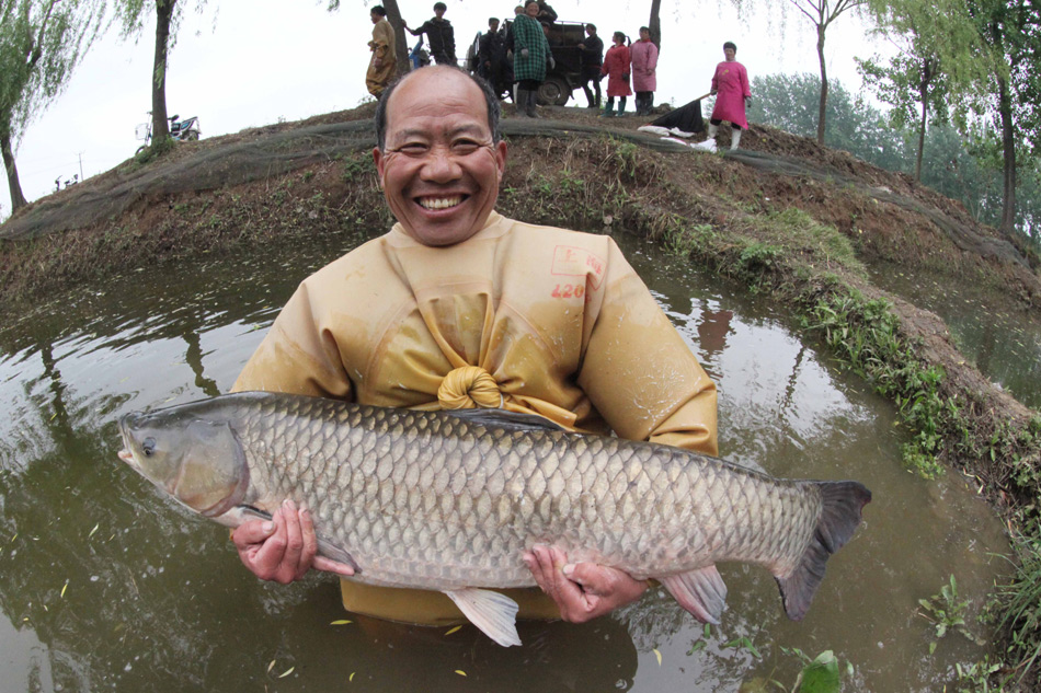 Green aquaculture industry booms in Jiangsu