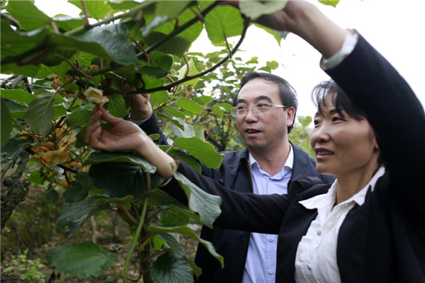 Economic transformation bears fruit in Guizhou