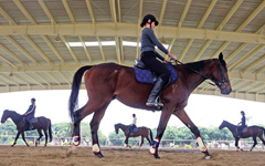 Horse betting, a potential business in China?