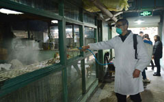Bird flu enfeebles China's poultry trade