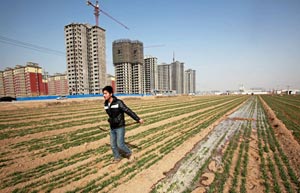 Chinese farmers look to more land reform