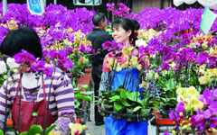 Planter blossoms into a trader