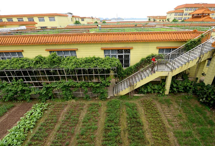 Roof garden in Liuzhou