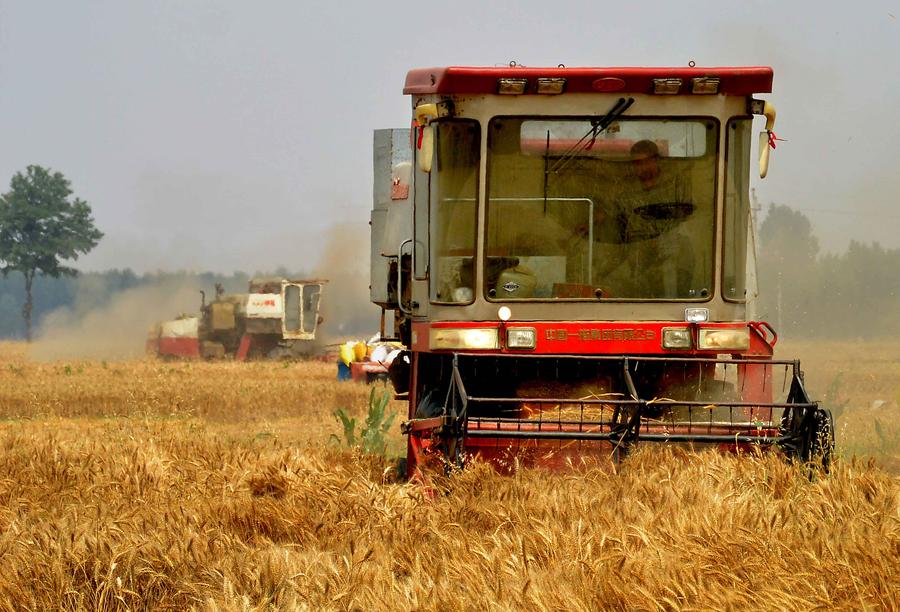 Reaping the wheat harvest in Henan