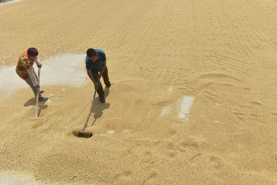 Family farms see huge jump in earnings