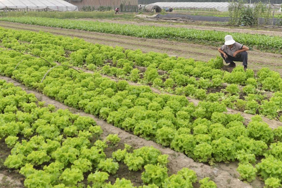 Family farms see huge jump in earnings