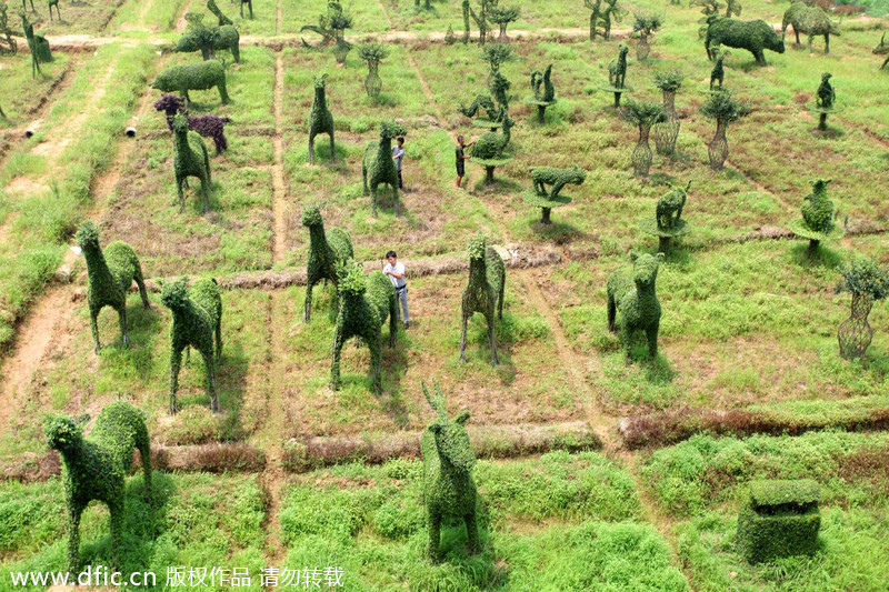 Animal-shaped trees a cash cow for farmers