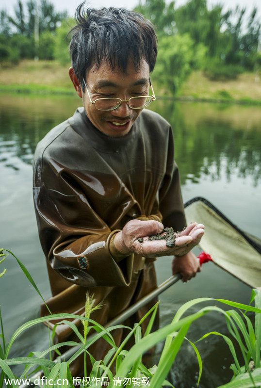 Beijing wiggler catchers thrive in summer