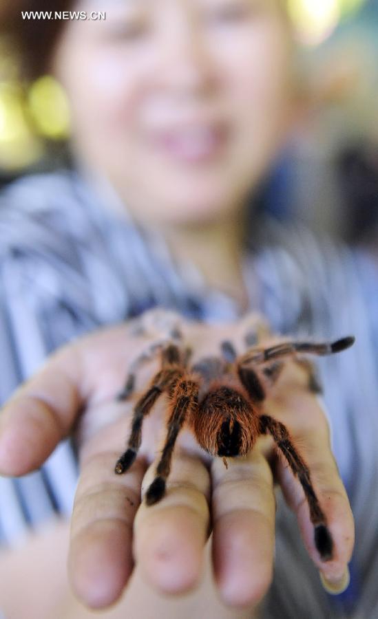 Cute pets at agricultural fair in Changchun