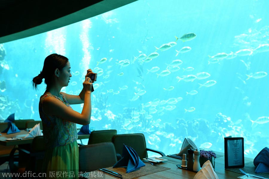 Undersea restaurant opens in Sanya