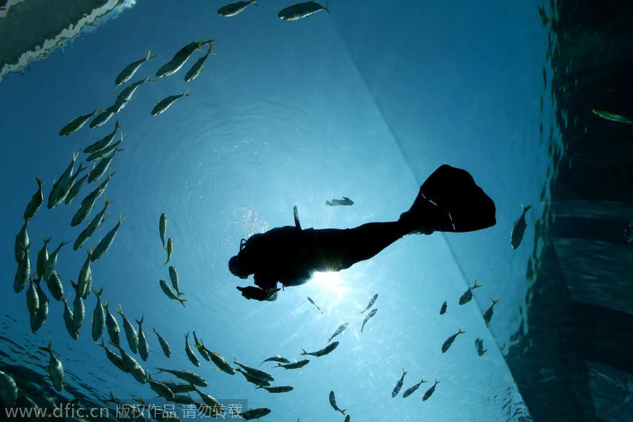 Undersea restaurant opens in Sanya