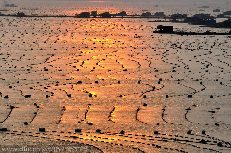 A 'floating city' in East China