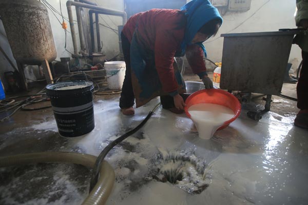 Domestic dairy producers despair amid import surge