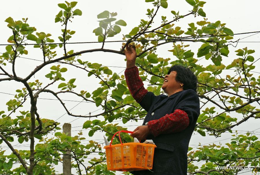 Zhejiang ranked 1st in farmers' disposable income in China