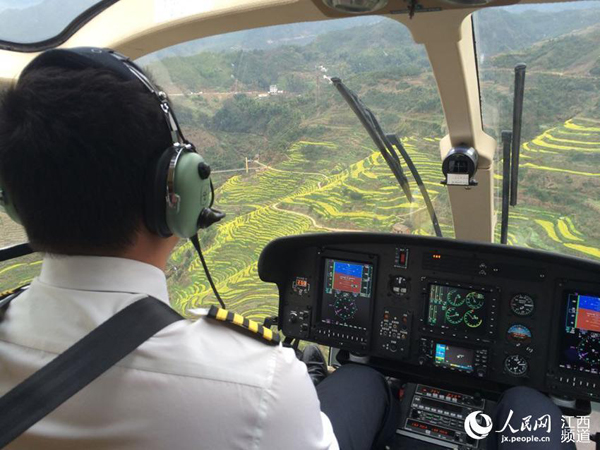 Helicopter service for appreciating rapeseed flowers