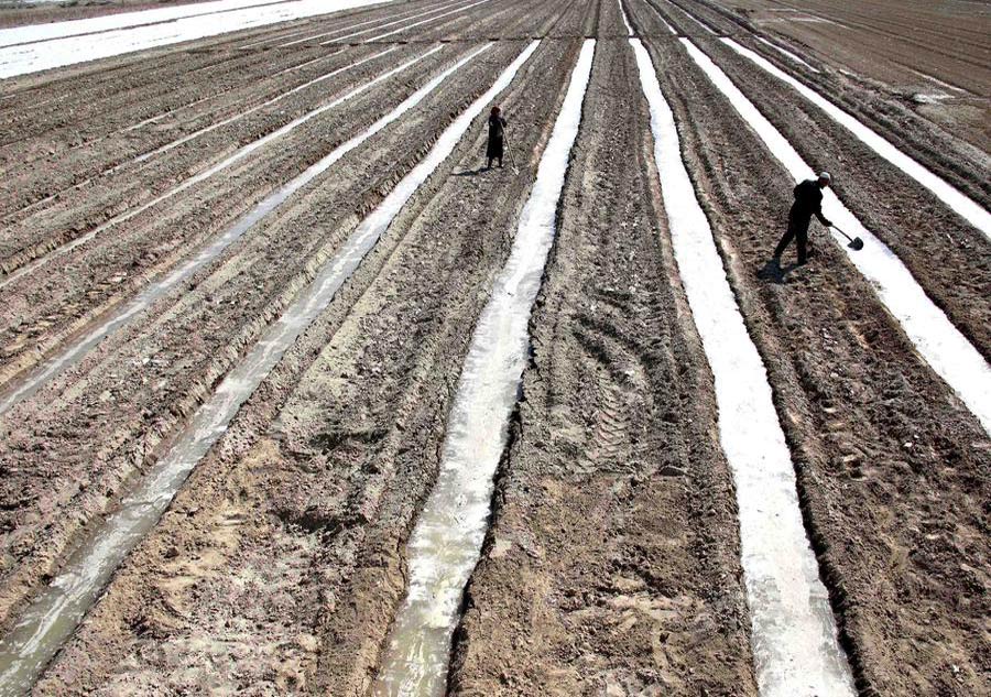 Chinese farmers plough their lands for spring