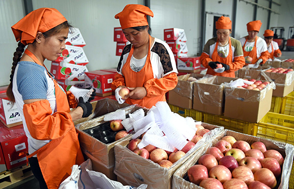 Apples from mainland set to tickle US palates soon