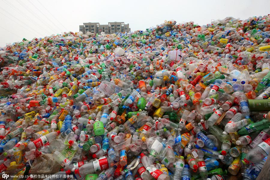 Recycling discarded plastic bottles generates cash