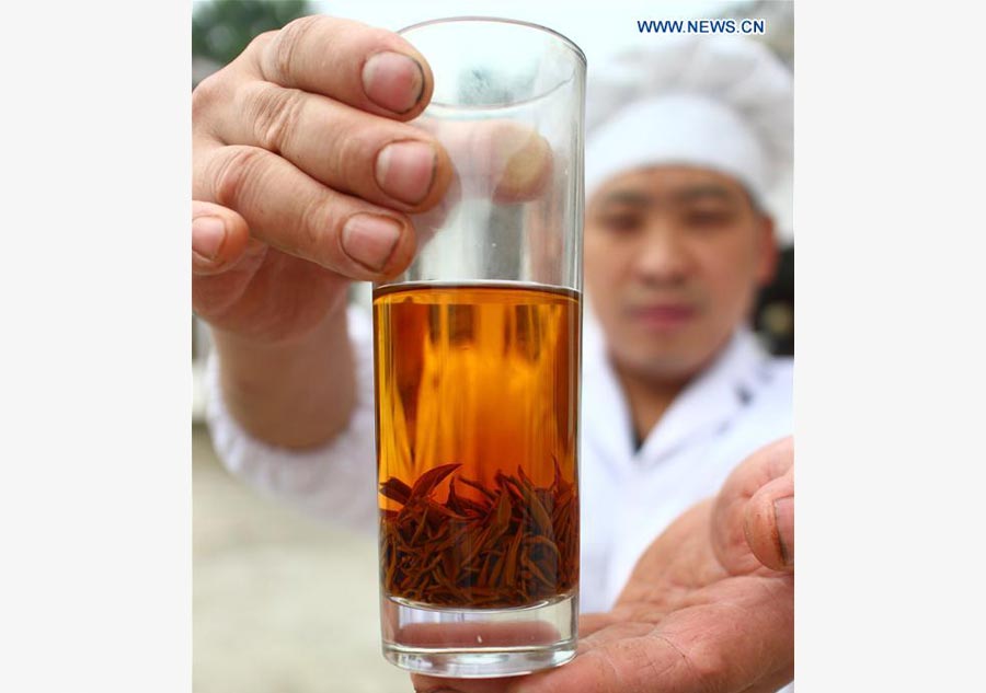 Tea sector, economic pillar of SW China's Fenggan