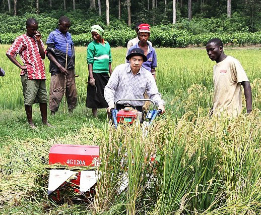 Chinese know-how boosts Zimbabwe's farms