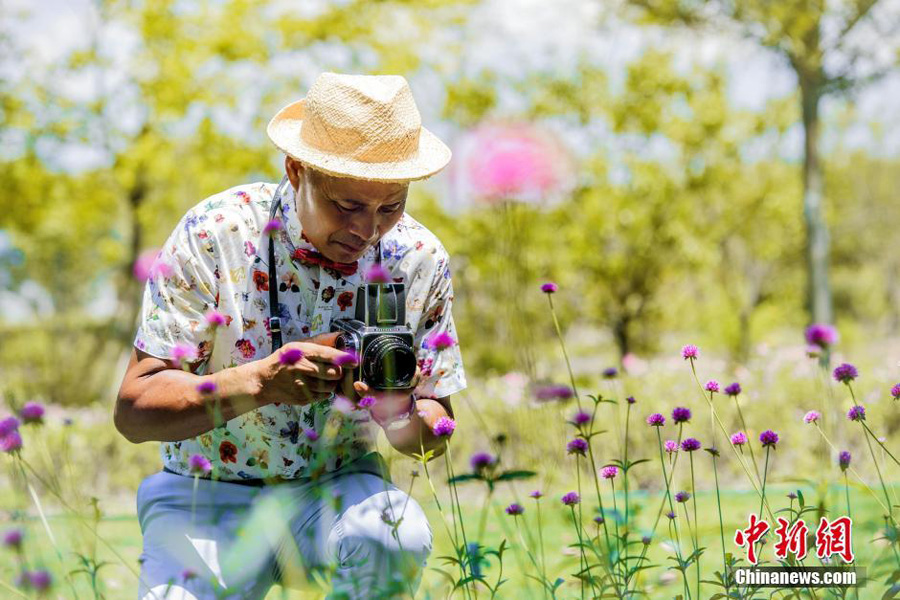 Sunny images of 60-year-old go viral