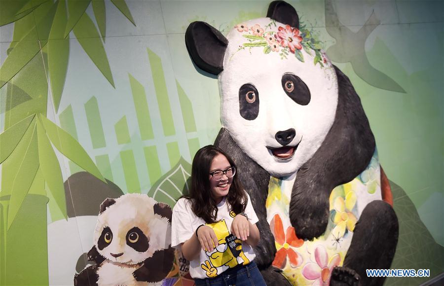 Panda-themed subway train put into use in Chengdu