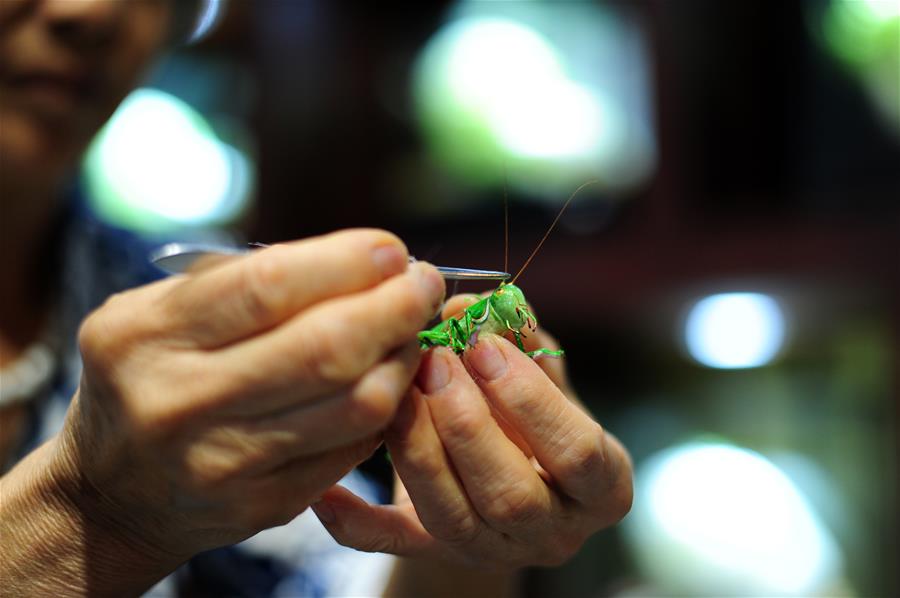 Woman creates silk Chinese cabbage