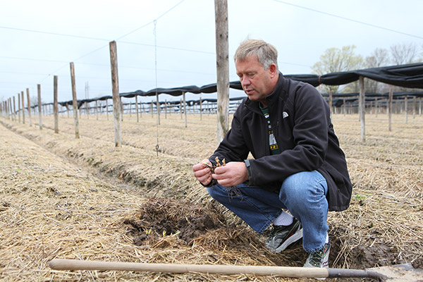 From farm to table and Wisconsin to China