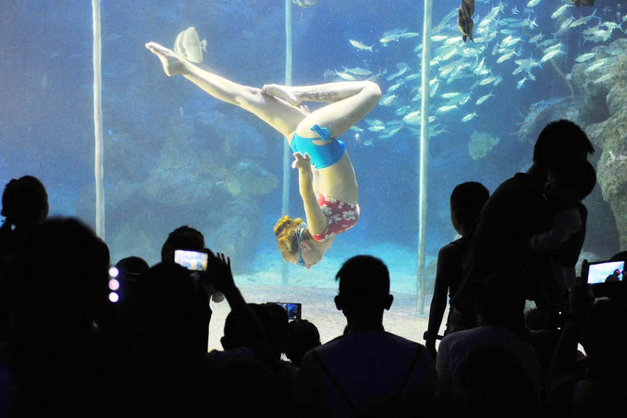 Russian underwater performers' Chinese dream