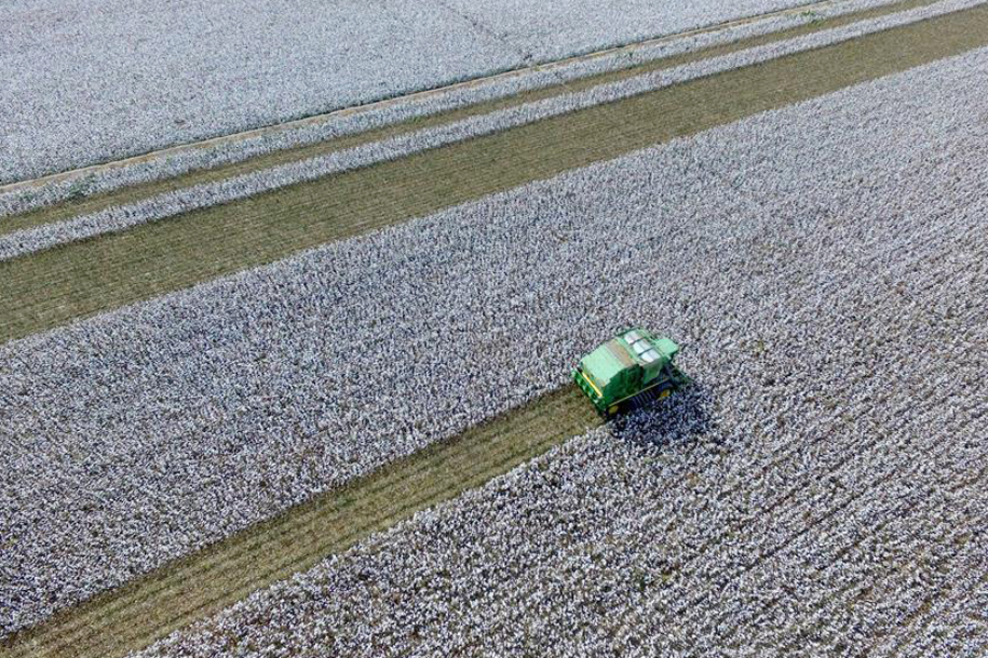 Farmers welcome harvest season across China