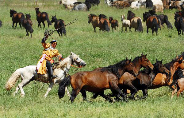 Lassoing competition held in Xinjiang