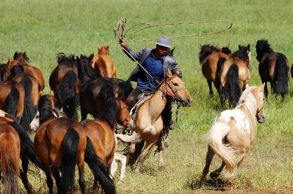 Lassoing competition held in Xinjiang