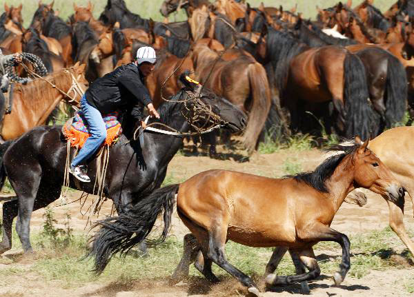 Lassoing competition held in Xinjiang