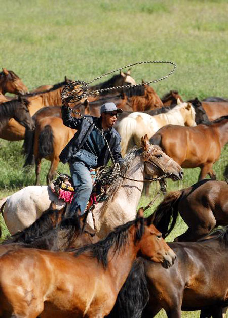 Lassoing competition held in Xinjiang