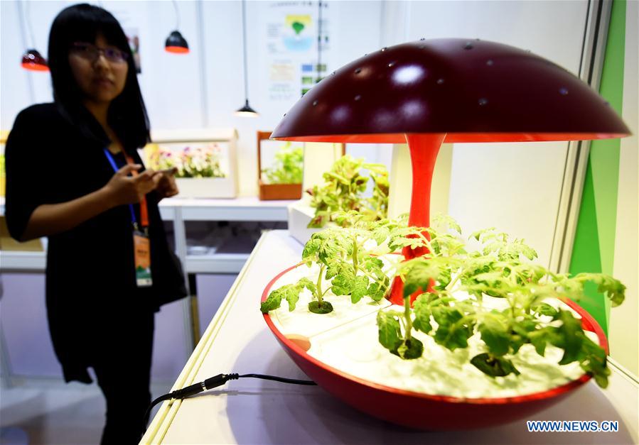 Science and technology experience items attract crowds in Beijing