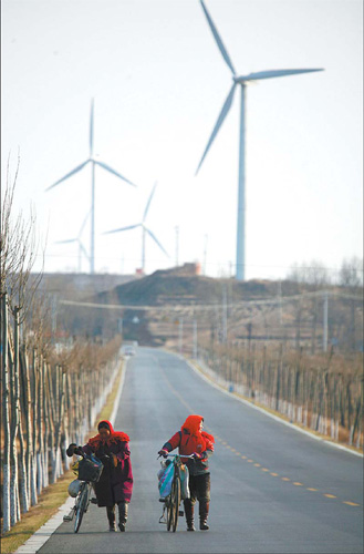 China's wind energy industry sees challenges