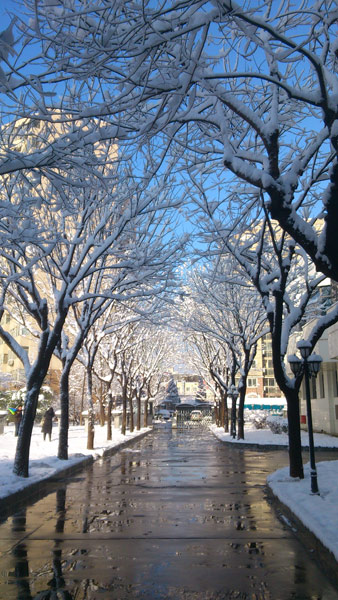 Beijing blanketed by spring snow