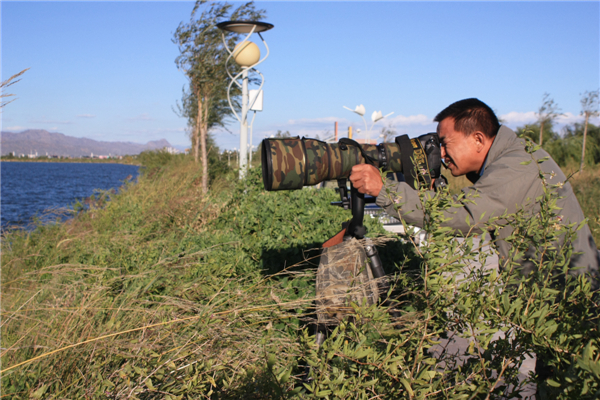 Wetlands a world for birds