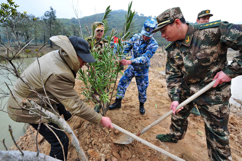 Tree planting boosts China's green drive