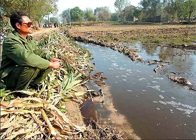 Govt targets land pollution to ensure food security