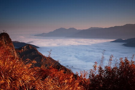 Mainland tourists favor Alishan, Sun Moon Lake