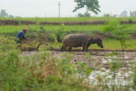 China to invest 12.7b yuan on farmland