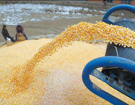 Saving every drop to nourish the corn belt