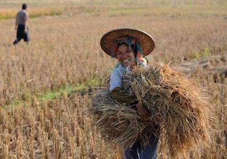 Insurance for 80% farmers in 7 years