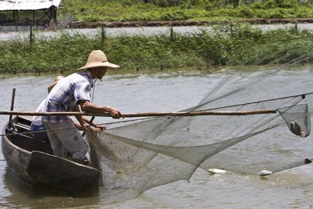 Chinese seafood traders fish for business at Boston show