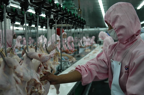 US chicken products hit with new tariffs