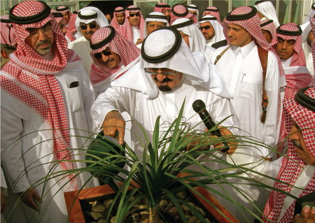 Saudi Arabia rolls out red carpet